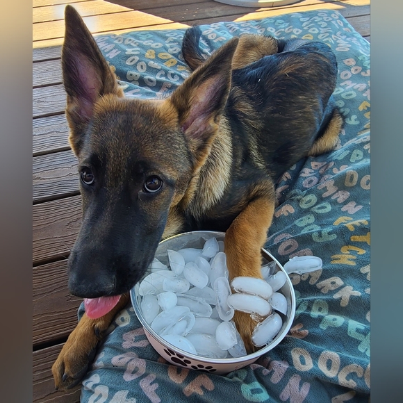 Like To Be Notified When I Go Live 🥳🫶🏻❤️ - Picture 5 of 9